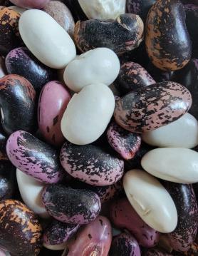 Many distinct bean varieties mixed together in a bowl